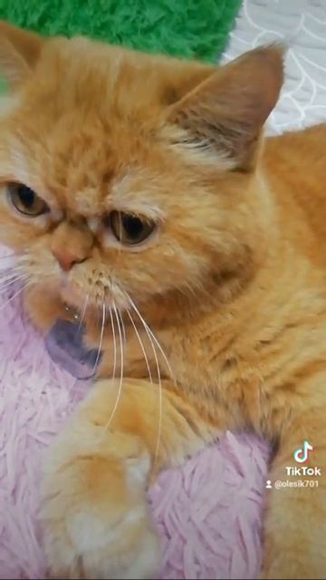 Самые красивые глаза)