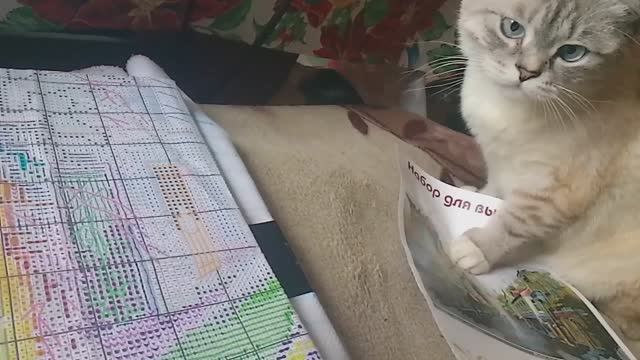 Отчет по вышивке за неделю №16 (10/02/2025--16/02/2025) смотреть онлайн