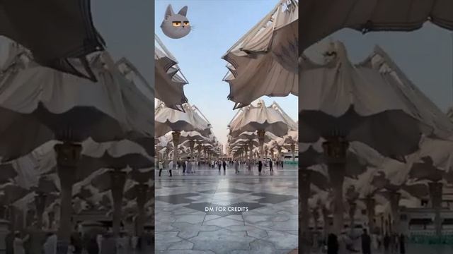 Шокирующие  моменты и красивые из всемирное  видеоролики ))