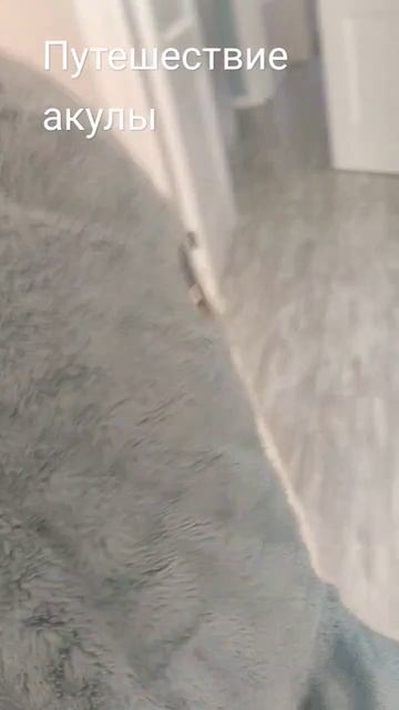 путешествие акулы #ikea #акула смотреть онлайн