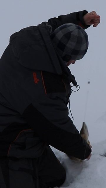 Вытаскиваю щуку, клюнула на жерлицу смотреть онлайн