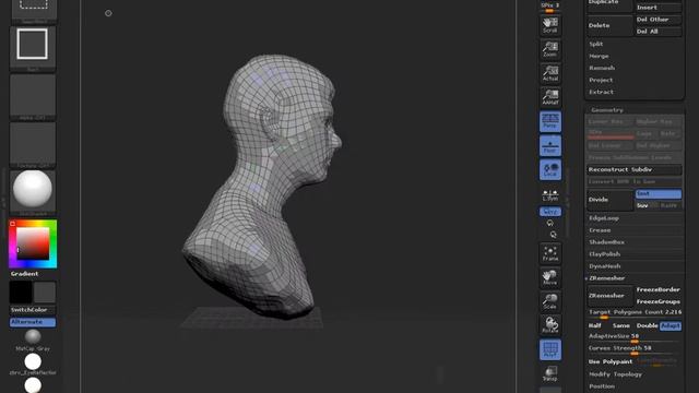 project all zbrush