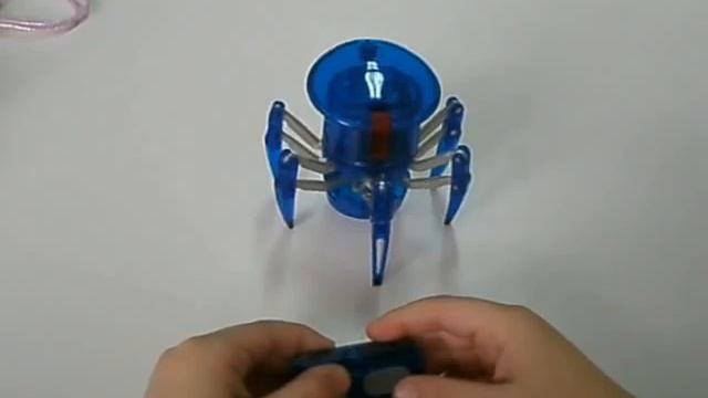 Hex Bug Spider And 3ds Max +  After Effects