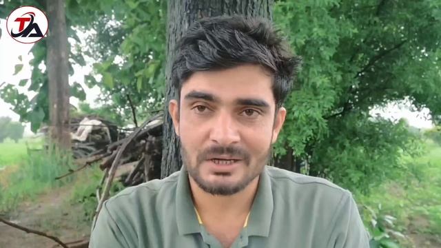 सोयाबीन 50 दिन के अंदर सिर्फ 1 स्प्रे फूल ग्रोथ इतनी की पड़ोसी भी पूछेंगे || Soyabin Ki Kheti | Soy смотреть онлайн