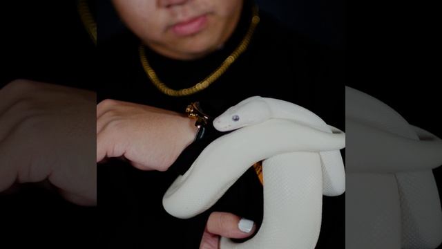 Mamba, Pt. 2 смотреть онлайн