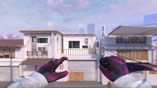 Купил Fang Obsidian - Обзор на сет Fang Obsidian + Gloves Punk