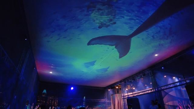 i Light Singapore 2023 A New Wave | Interactive Light Art Installations in Marina Bay смотреть онлайн