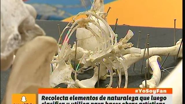 El Artista Santiago Viale En 