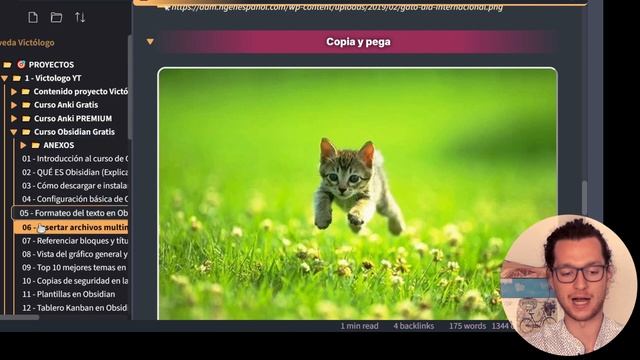 Archivos en Obsidian: insertar imágenes, PDFs, audios, words... смотреть онлайн