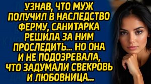 Узнав, что муж получил в наследство ферму, санитарка решила за ним проследить...