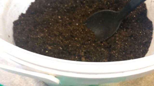 Диасция 19.02.18