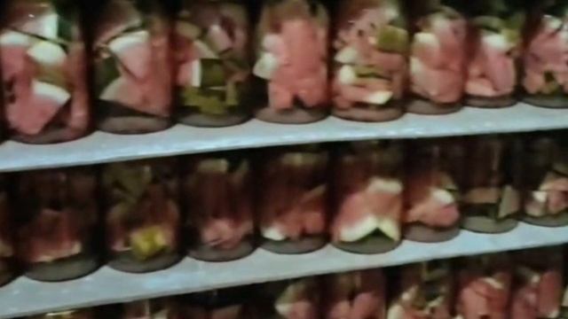 9 Колл. работа Быкова Петренко Теполян Черкасская СОШ Саракташ смотреть онлайн