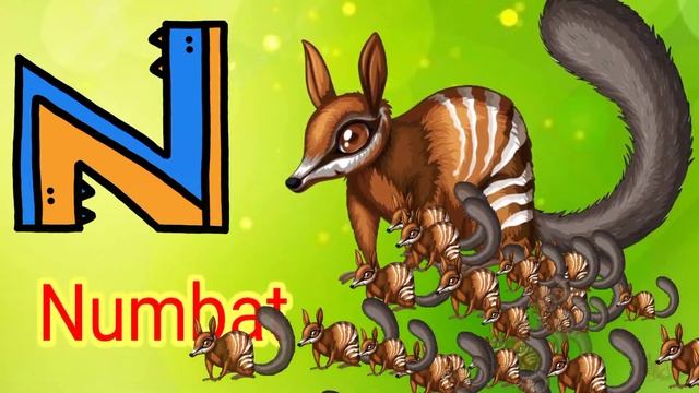 A For Alligator, B For Bear, C For Cat, D For Dog || ABC Phonics Song || ABC Learning For Toddlers смотреть онлайн