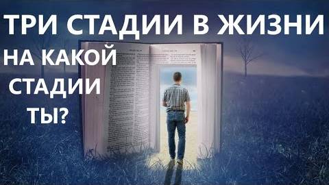 ТРИ СТАДИИ В ЖИЗНИ ХРИСТИАНИНА Вардан Мартиросян смотреть онлайн
