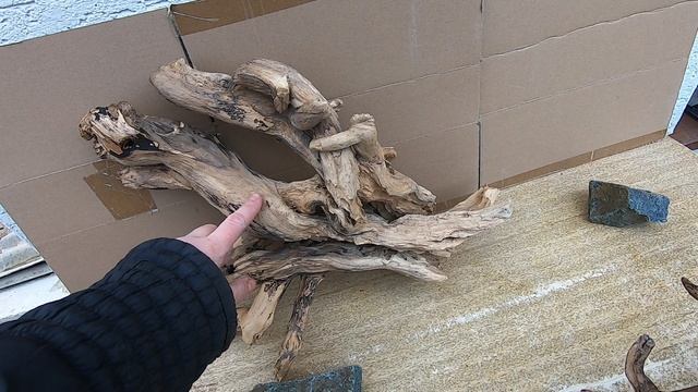 5 ц смотреть онлайн