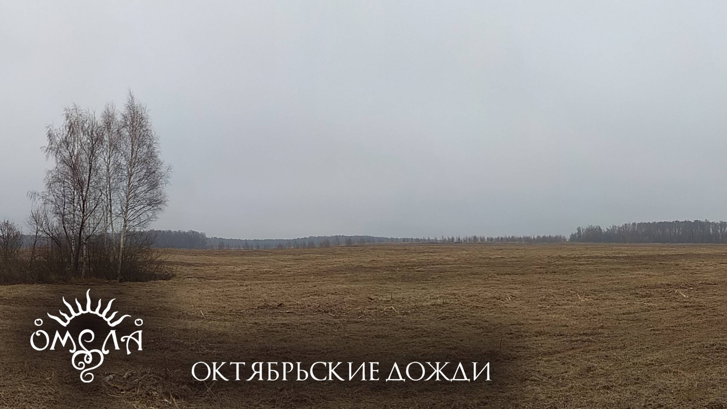 ОМЕЛА - Октябрьские дожди (live 2024) смотреть онлайн