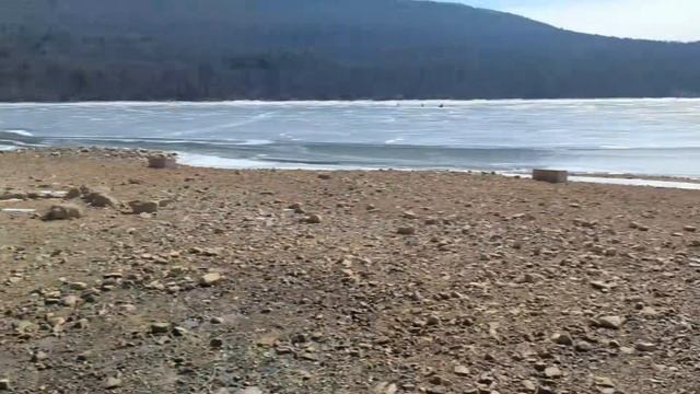 Central Pennsylvania Roads | Wildlife | Субботние нарезки