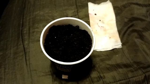 эксперимент √2 Клубника из зёрнышек смотреть онлайн