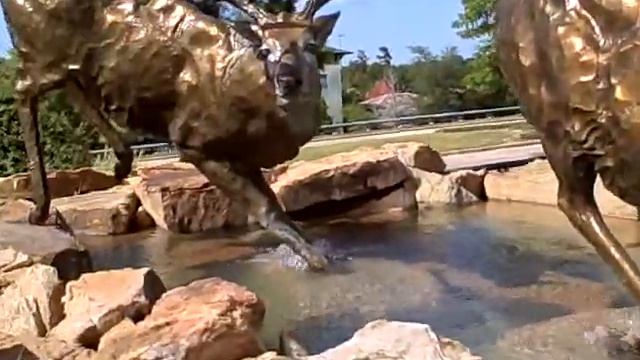 Anadarko Petroleum Corporation Bronze Deer Sculptures смотреть онлайн