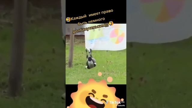 Кто тоже такой как та ворона или кукушка незною тут кто напишете в комментах смотреть онлайн