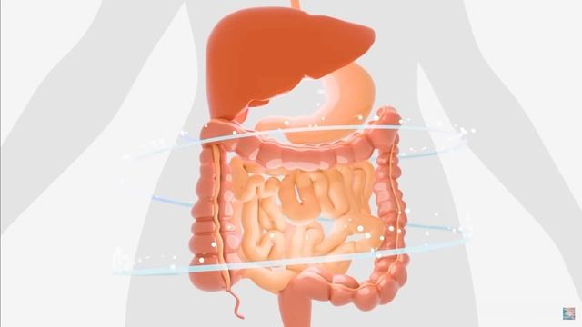 ЖКТ исцеление. Слушаем и выздоравливаем. смотреть онлайн