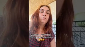 Французский бульдог, бульдог с хвостиком, разведение французских бульдогов