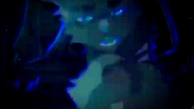 коты воители звëздное племя и Остролистая смотреть онлайн