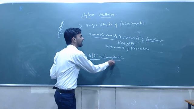 APS: CLASS 11:ZOOLOGY :ANIMAL KINGDOM:18/09/2020:Mr.PSK смотреть онлайн
