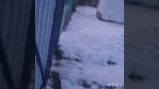 Я в ночь смотреть онлайн