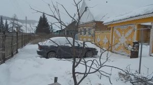 Зимнюю обрезку яблони закончил в конце февраля