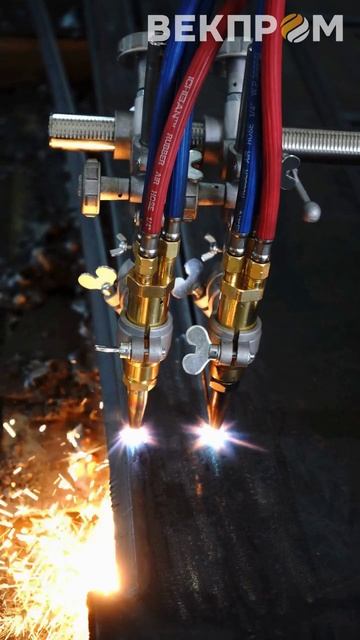 Газорезательная машина CG1-100 с двумя резаками для прямолинейной резки (1) смотреть онлайн