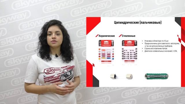 Предохранители SKYWAY