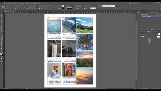 Adobe InDesign Tutorial - Page Gap Tool - Class 48 (Urdu/Hindi) смотреть онлайн