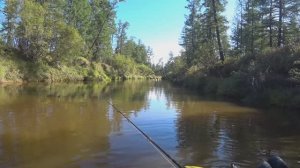 Манящая река (сплав р.Амедичи 2024)