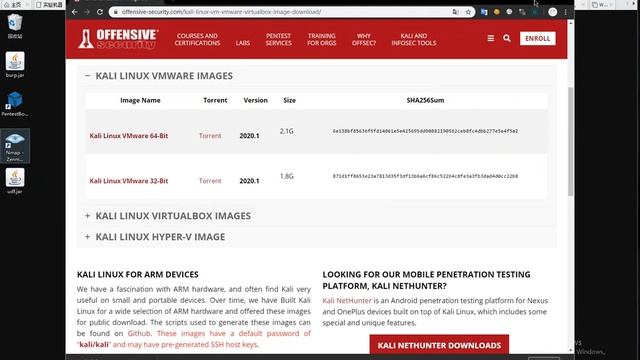 VMware虚拟机安装教程-3-安装Kali Linux操作系统 смотреть онлайн