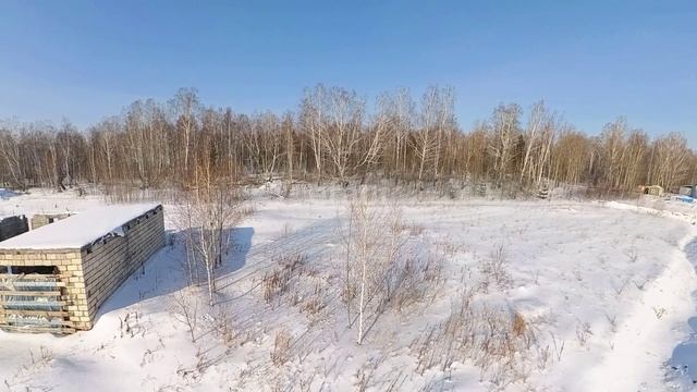 4881658, 4881614 смотреть онлайн