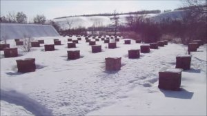 О наших делах.