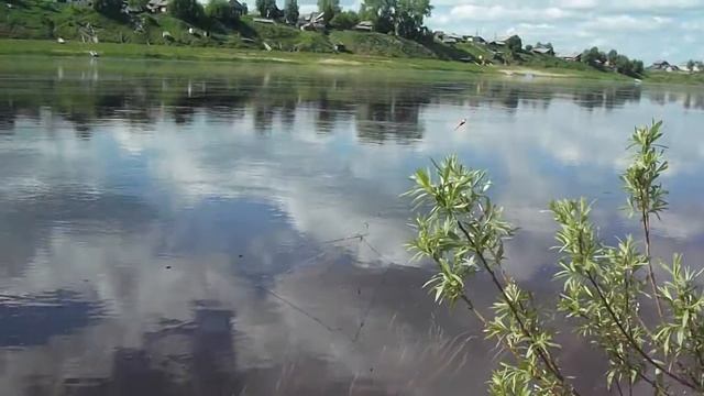 Сетки смотреть онлайн