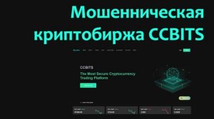 Анализ консолидирующих адресов мошеннической криптобиржи CCBITS