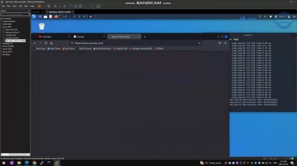 Kali Linux VMware workstation bridge network connection issue