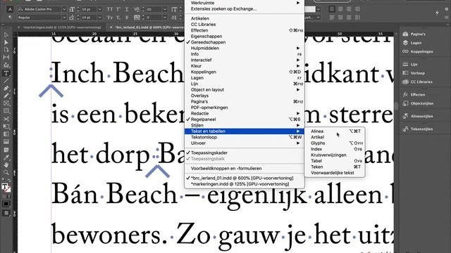 les 19 Markeringen in InDesign: index смотреть онлайн