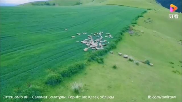 Әттең өмір ай - Саламат Болатұлы, Қазақ әндері, Қытай Қазақтарының әндері смотреть онлайн