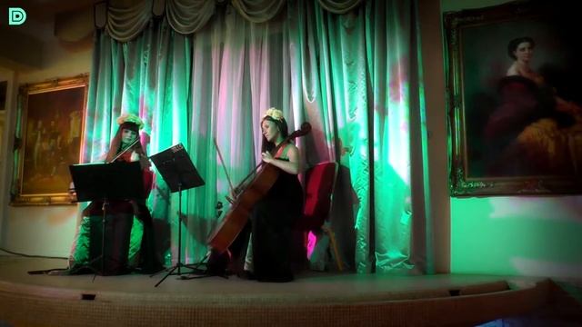 Дуэт скрипка и виолончель Violin Group DOLLS, встреча гостей