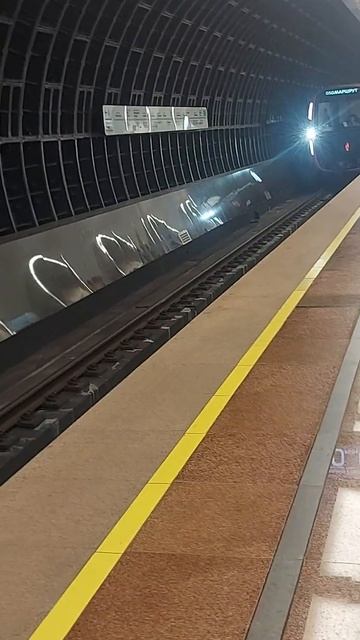 Прибытие поезда на станцию Рижская смотреть онлайн