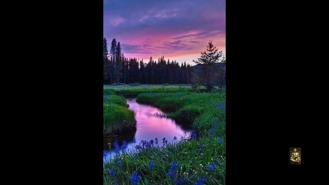 Бинауральные ритмы для успокоения нервной системы, а так же её лечения.