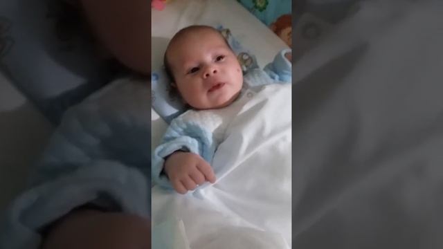 У морі жаби не живуть смотреть онлайн