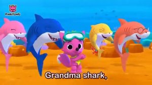 Акула туруру детская песенка