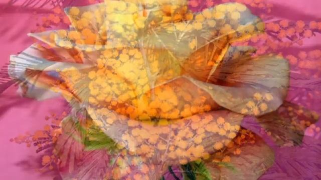 ВАМ КРАСИВЫЕ