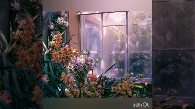 71 Тайны Мошанска. #годлизы, #мишьен, #простоенот, #Зверскиестихи,#prostoenot, #чародейка  