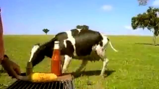 Heinz Ketchup 1997 смотреть онлайн